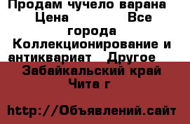 Продам чучело варана. › Цена ­ 15 000 - Все города Коллекционирование и антиквариат » Другое   . Забайкальский край,Чита г.